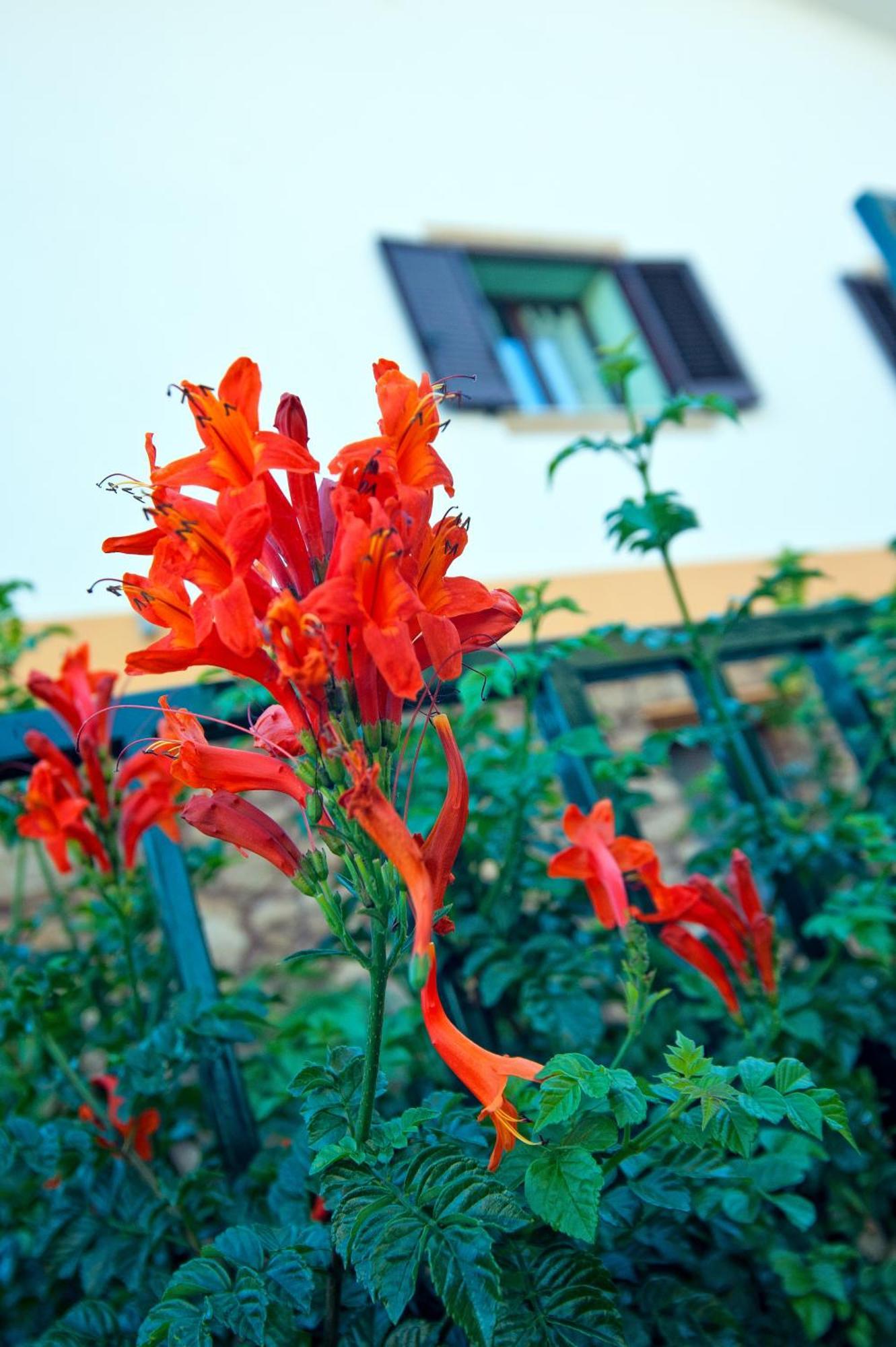 Casale La Zagara Aparthotel Sciacca Exterior photo